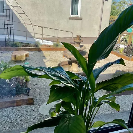 ゲストハウス Dominics *