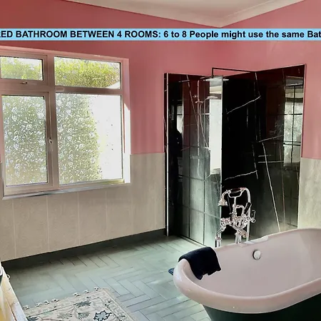 Dominics * ウィックロー